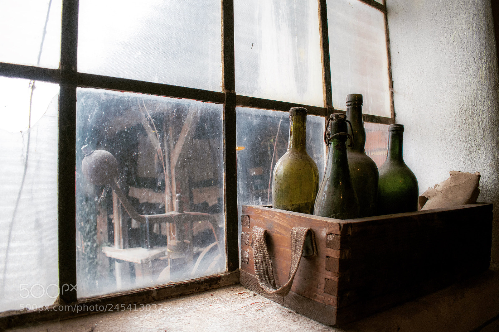 Nikon D5500 sample photo. Untitled photography
