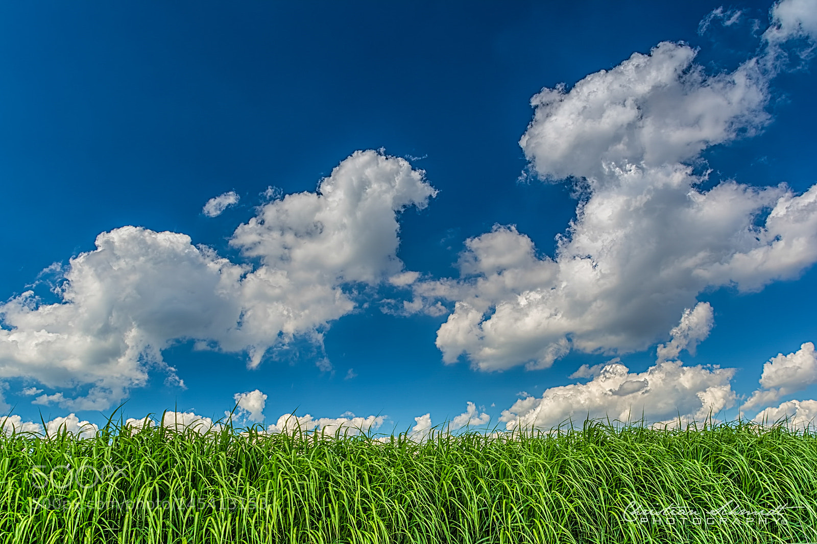 Nikon D7100 sample photo. Travelling clouds photography