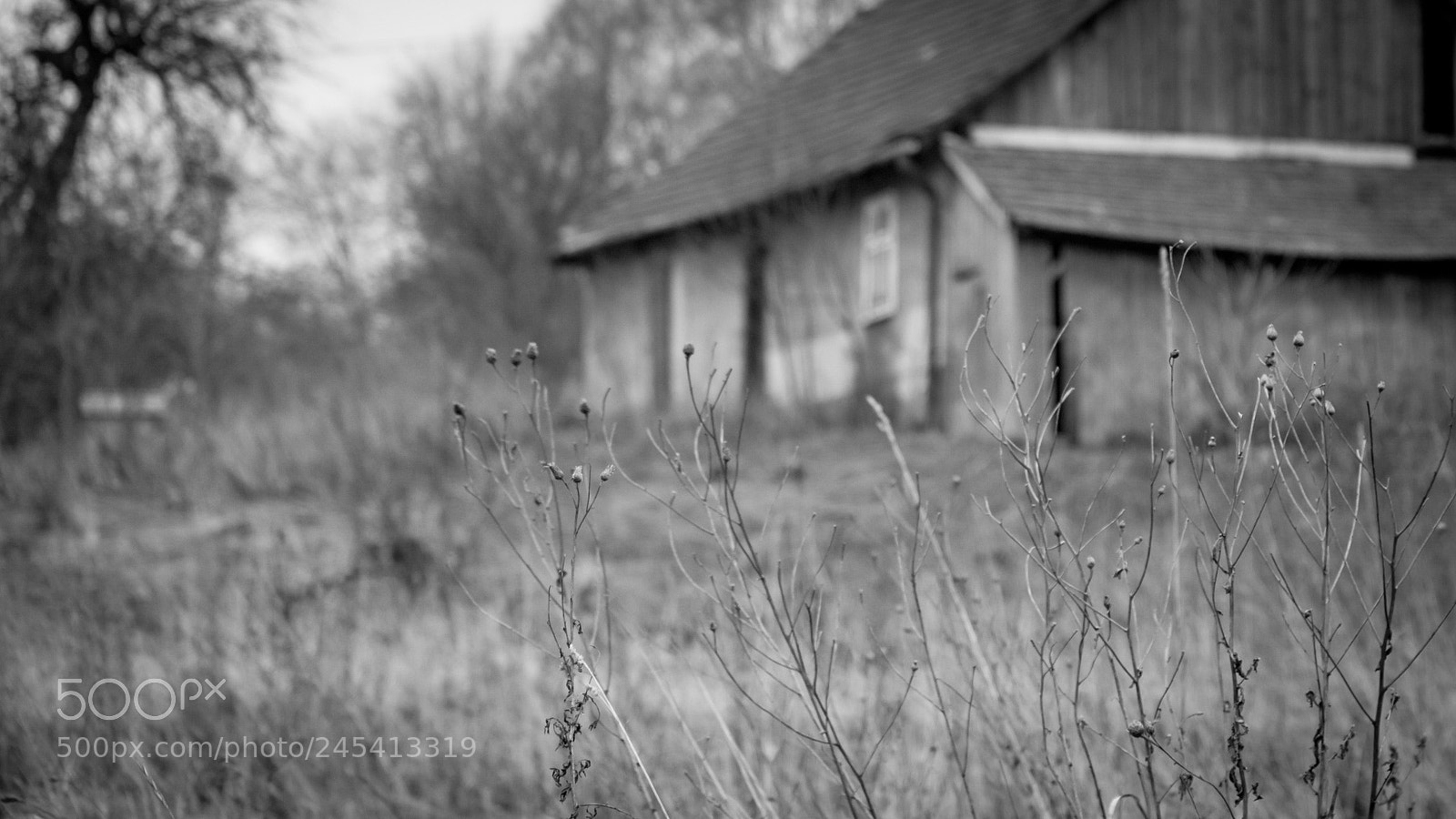 Canon EOS 1200D (EOS Rebel T5 / EOS Kiss X70 / EOS Hi) sample photo. Lonely cottage photography