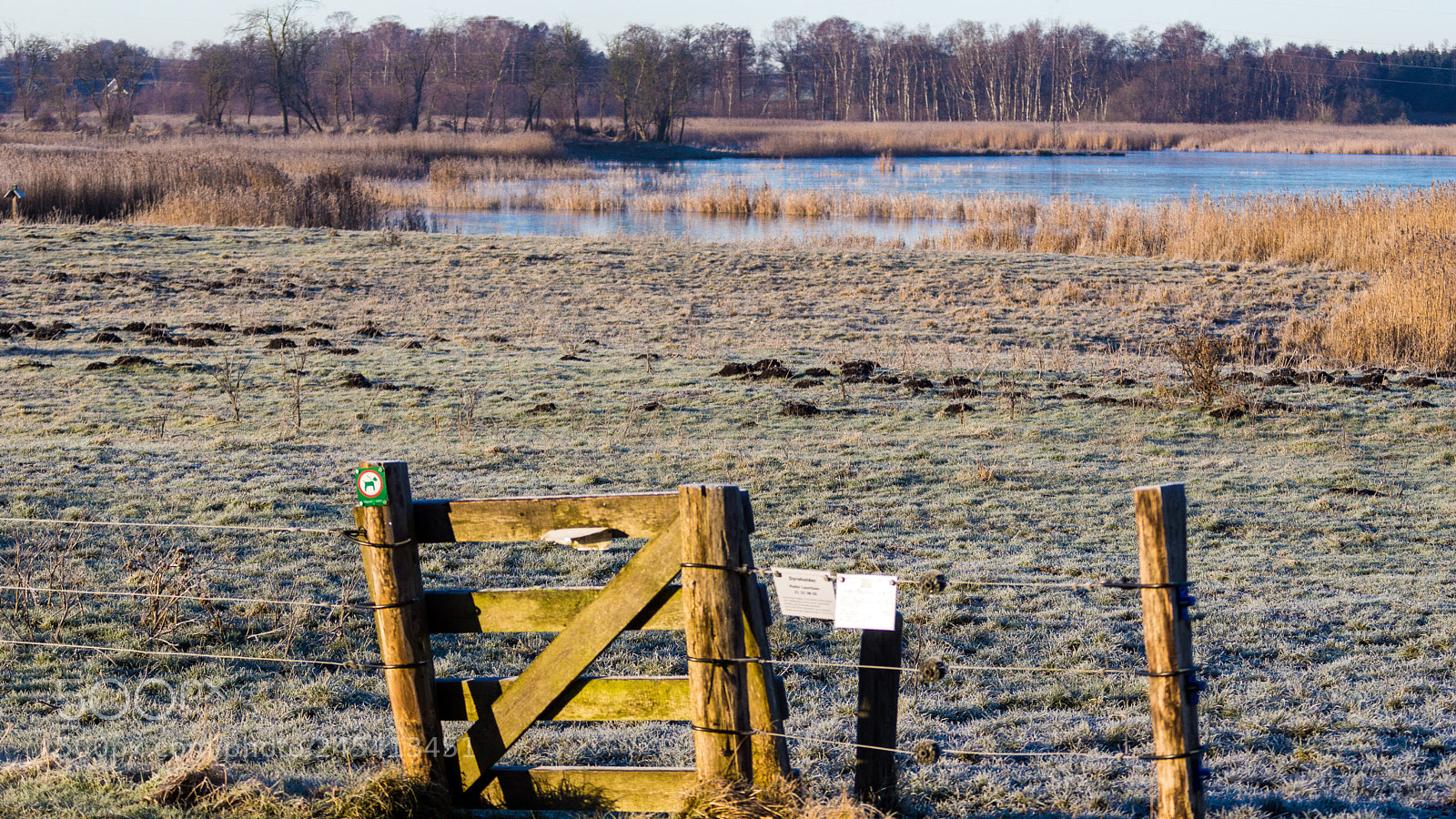 Sony SLT-A77 sample photo. Winter afternoon photography