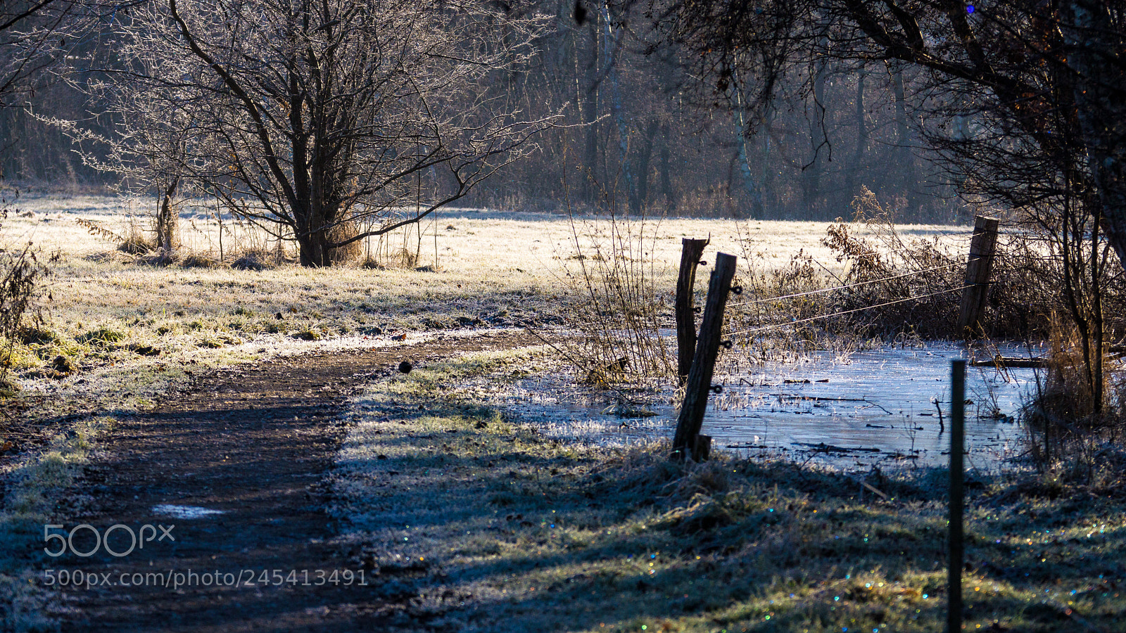 Sony SLT-A77 sample photo. Winter afternoon photography