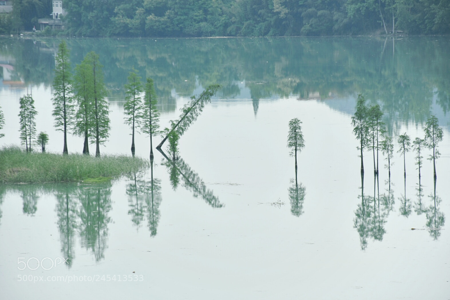 Nikon D7200 sample photo. 绿水青山 photography