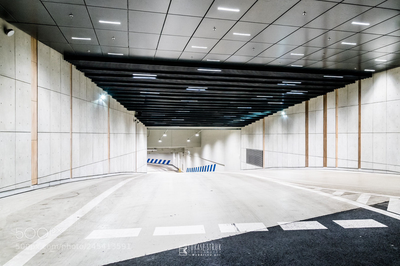 Nikon D850 sample photo. Entrance photography