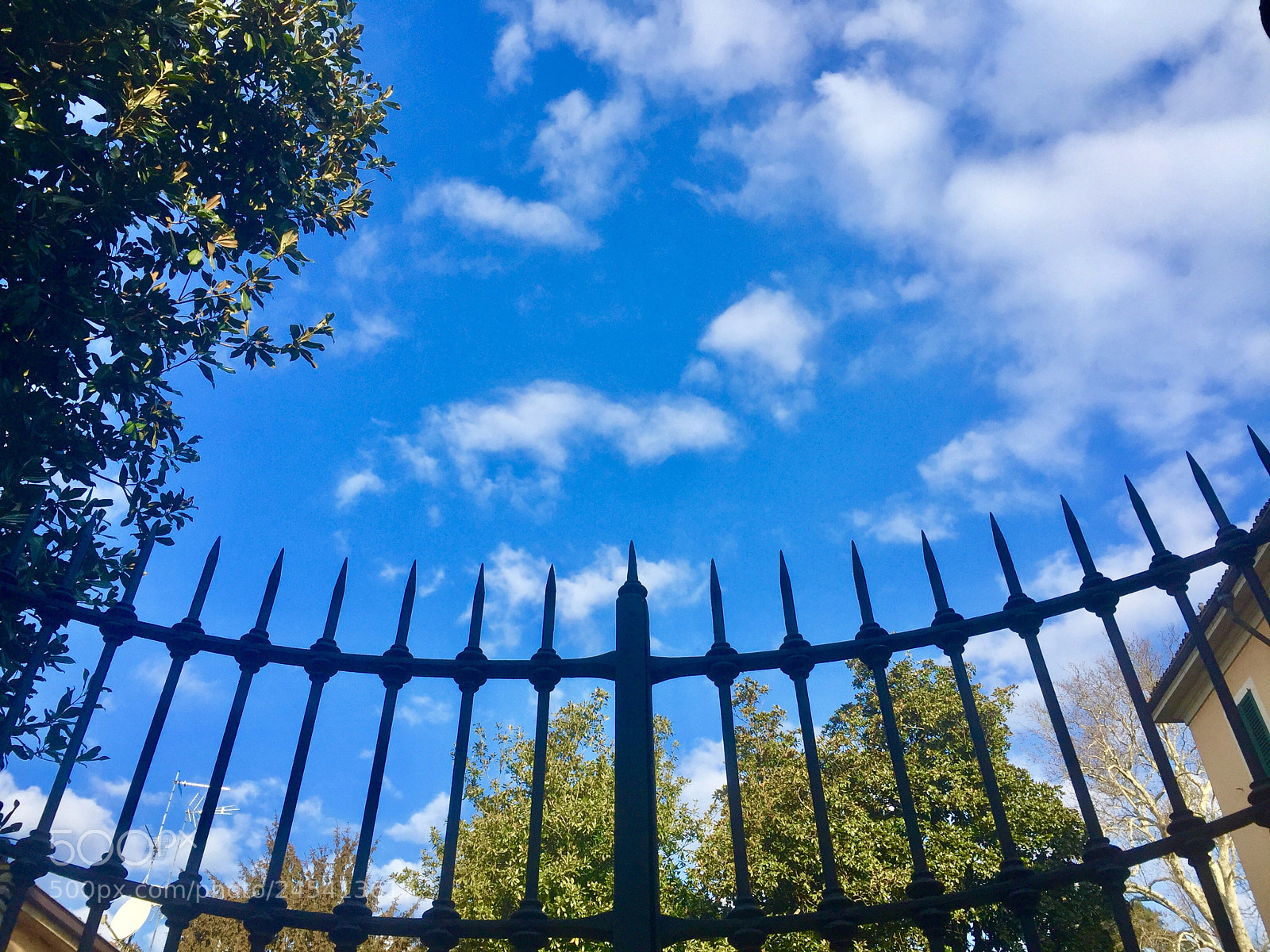 Apple iPhone 6 Plus sample photo. Cielo azzurro. ✌️ photography