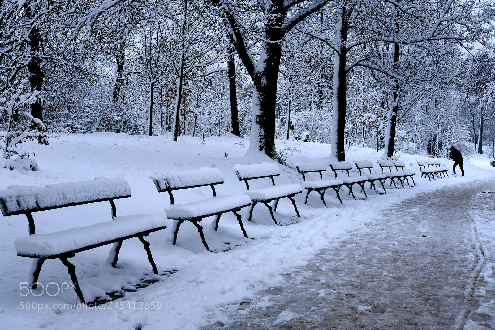 Fujifilm X-Pro2 sample photo. Benches. photography