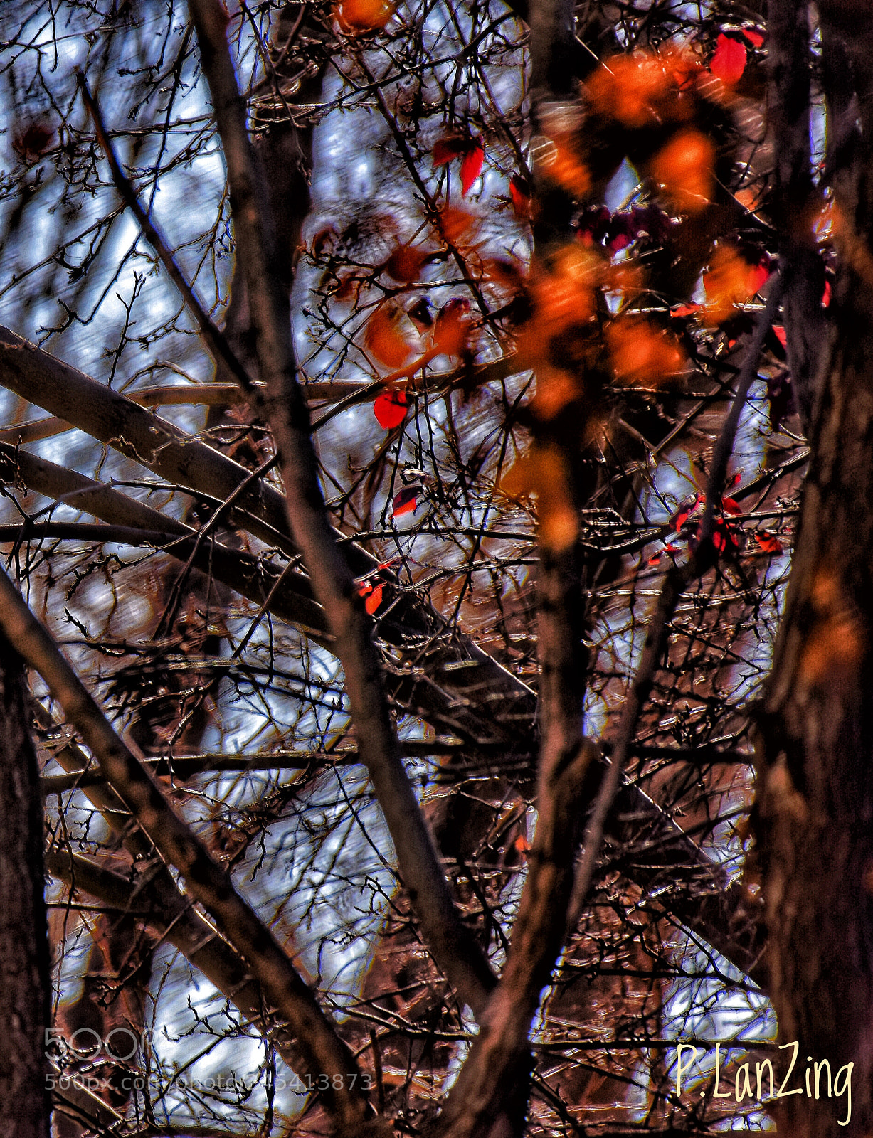Nikon D810 sample photo. Winter window photography