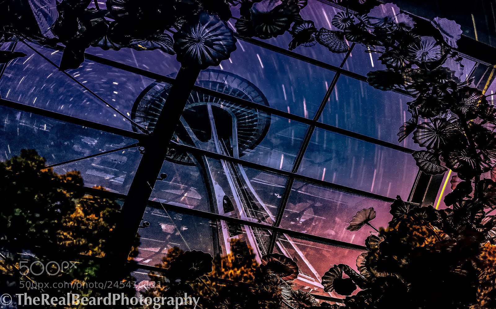 Canon EOS 1300D (EOS Rebel T6 / EOS Kiss X80) sample photo. Seattle space needle launch ? photography