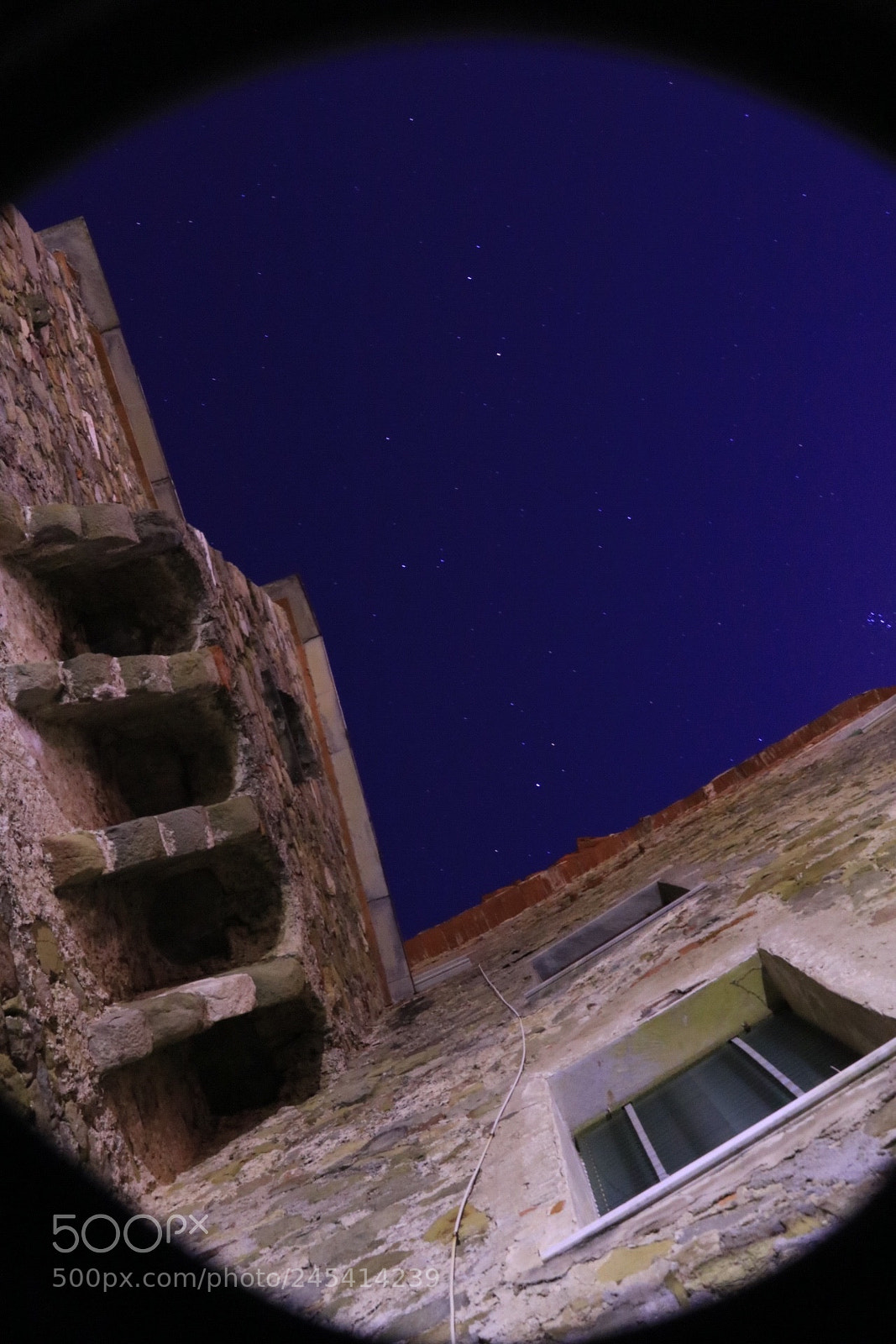 Canon EOS 750D (EOS Rebel T6i / EOS Kiss X8i) sample photo. . photography