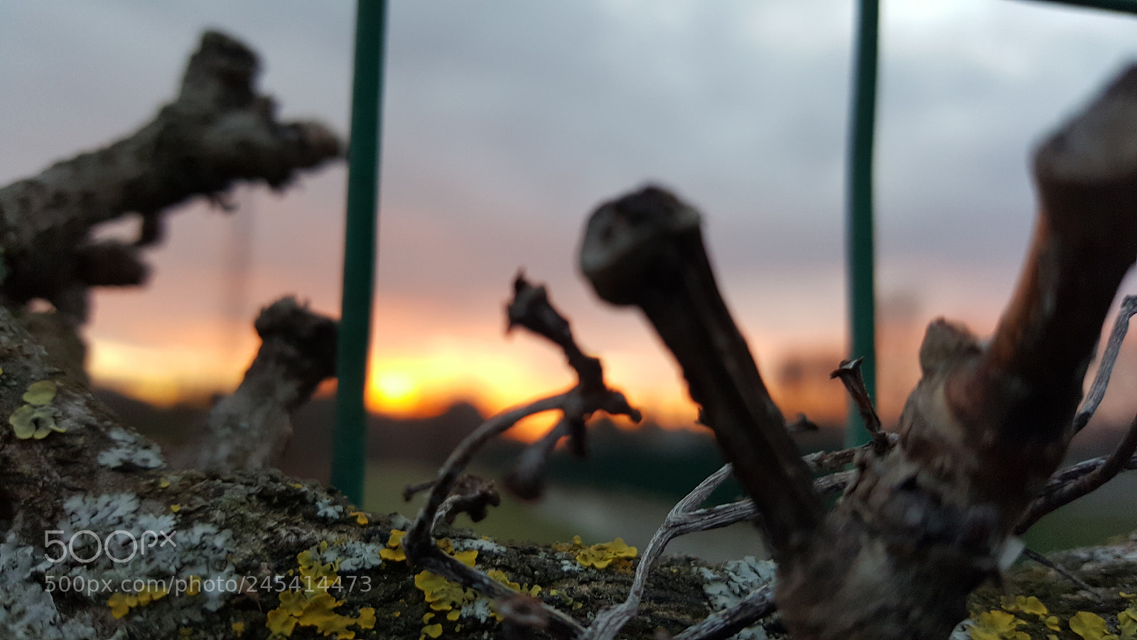 Samsung Galaxy S6 sample photo. February sunset photography