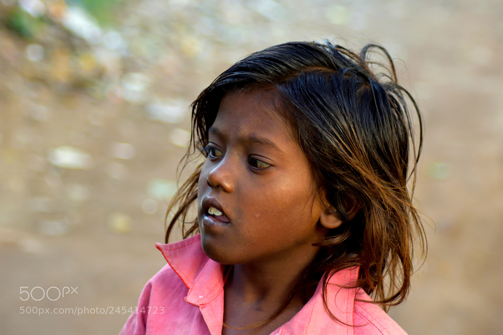 Nikon D7200 sample photo. Attentiveness photography