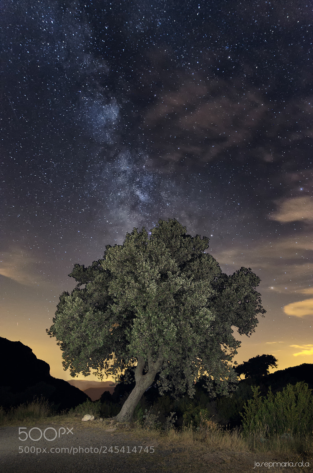 Nikon D5100 sample photo. One night of summer photography