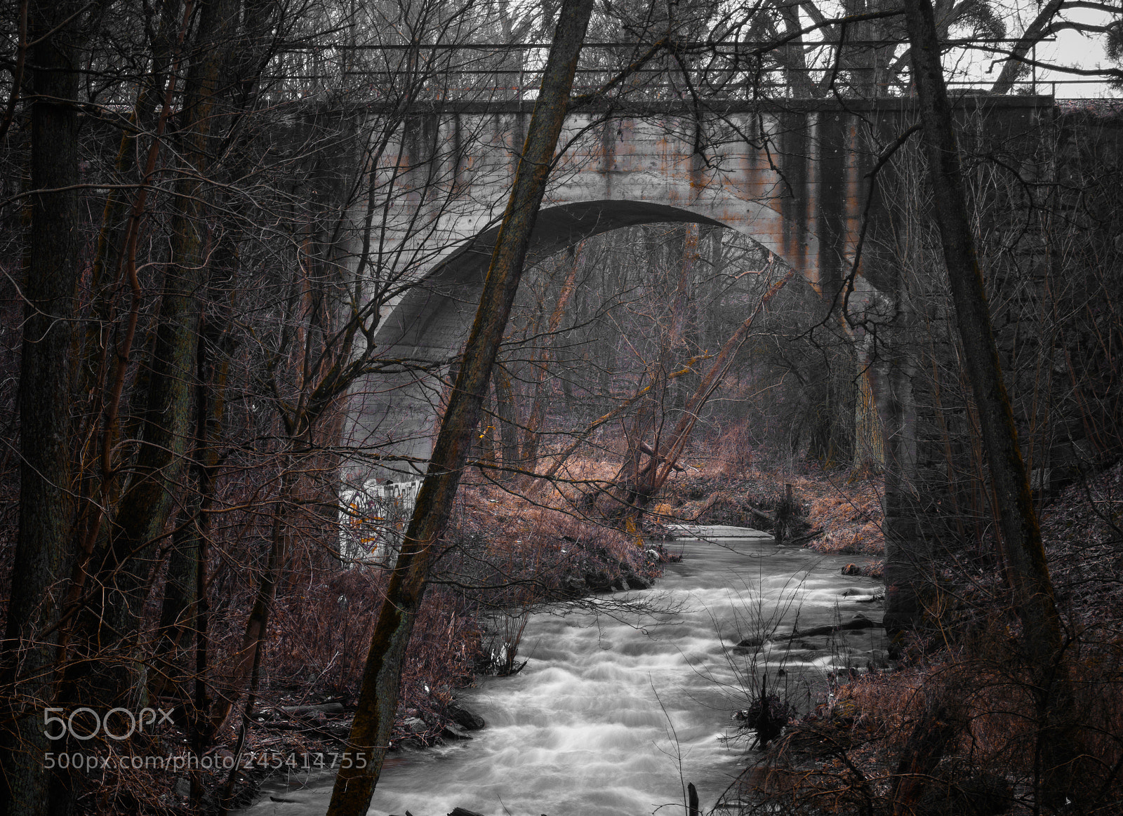 Nikon D300 sample photo. Bridge photography