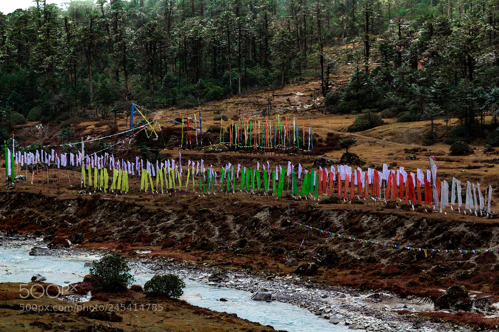 Canon EOS 550D (EOS Rebel T2i / EOS Kiss X4) sample photo. Prayer flags on bank photography