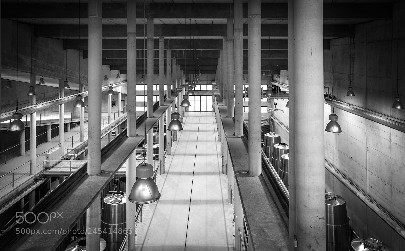 Canon EOS 5DS R sample photo. Baigorri photography