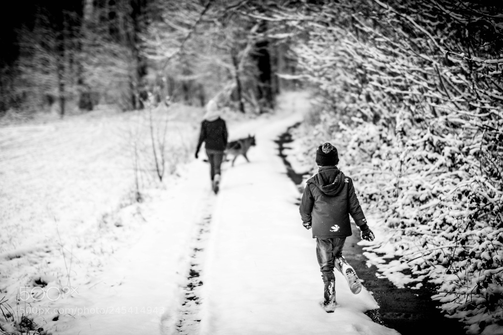 Nikon D7100 sample photo. Balade d'hiver photography