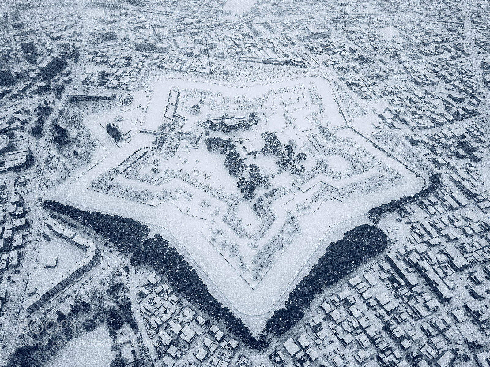 DJI FC220 sample photo. 冬日五棱郭 photography