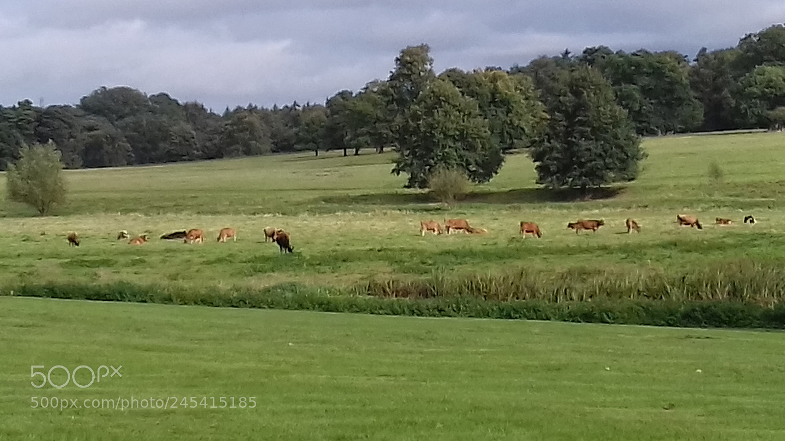 Samsung Galaxy J3(2016) sample photo. Country life photography