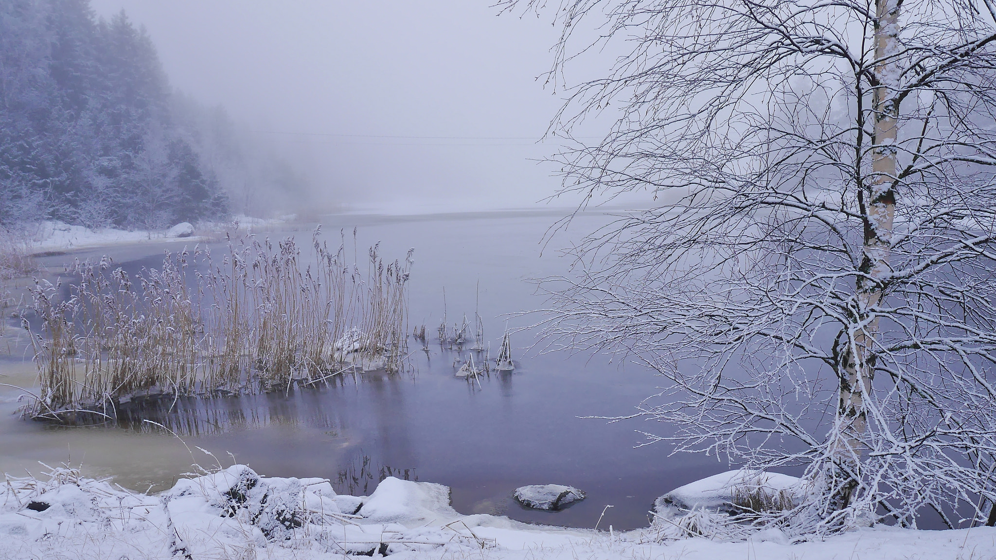 Panasonic Lumix DMC-GF6 sample photo. A foggy day photography