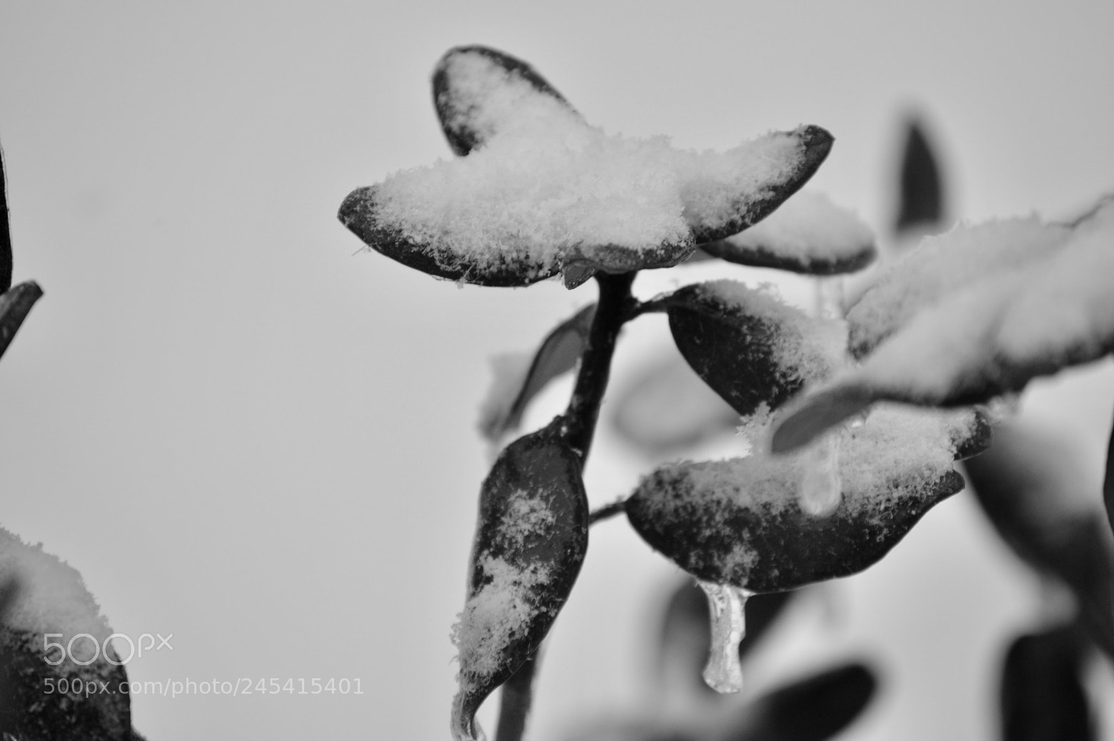 Nikon D3200 sample photo. Untitled photography