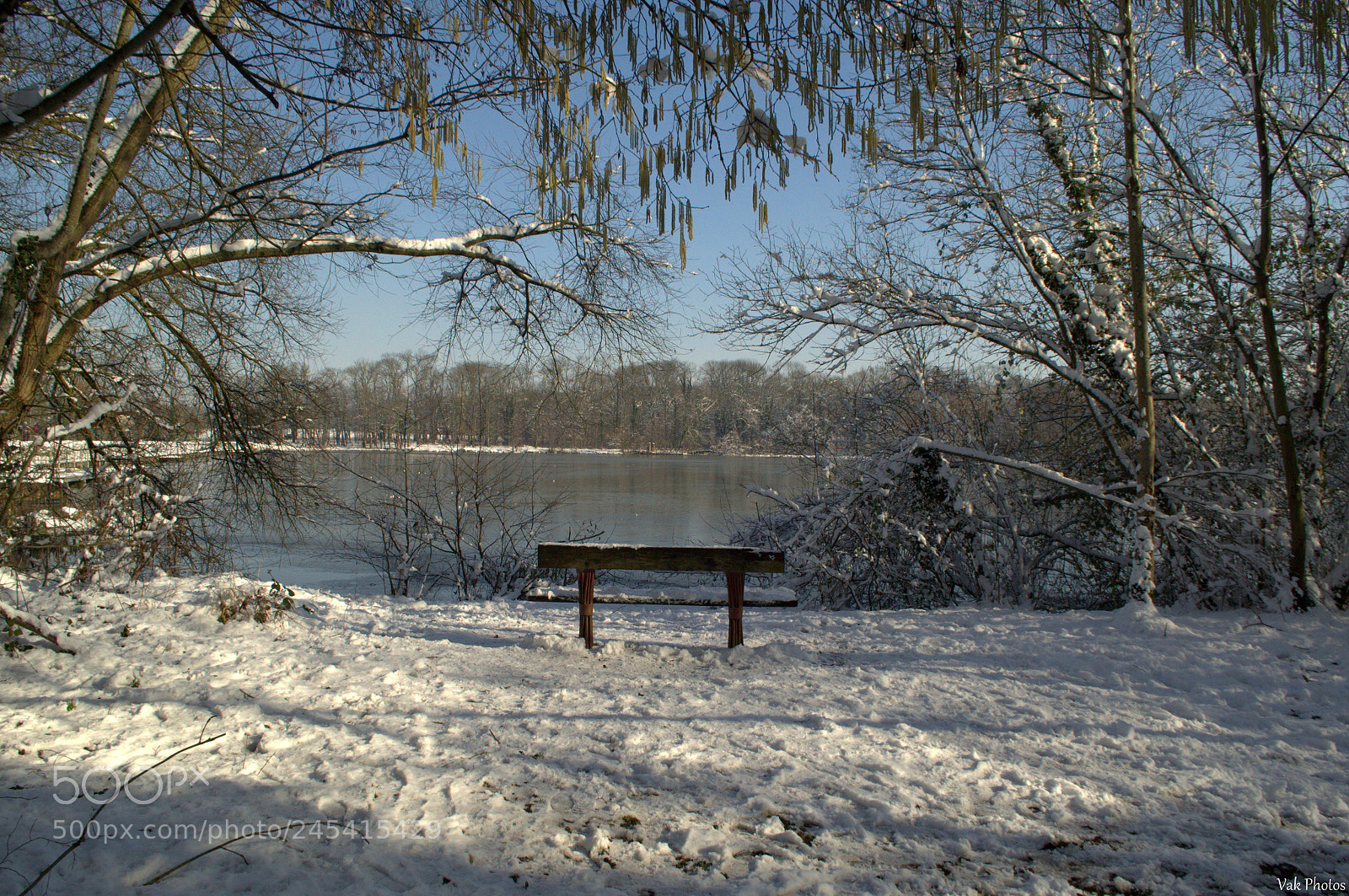 Nikon D3100 sample photo. View photography