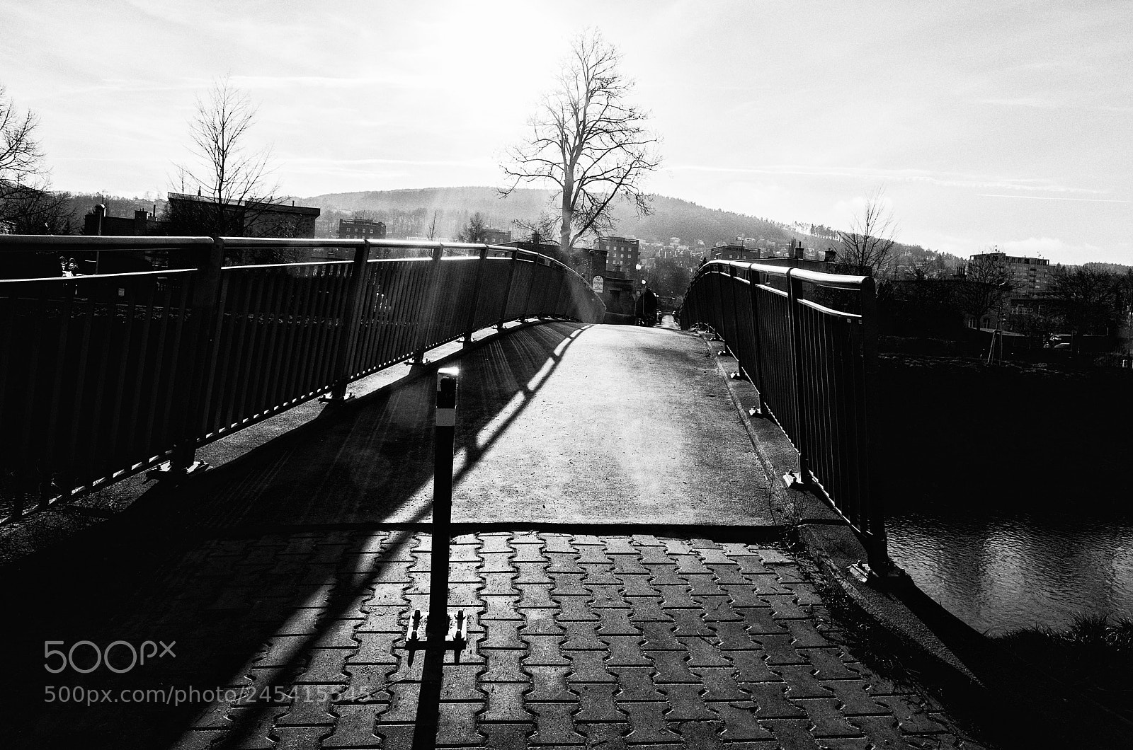 Ricoh GR II sample photo. Bridge photography