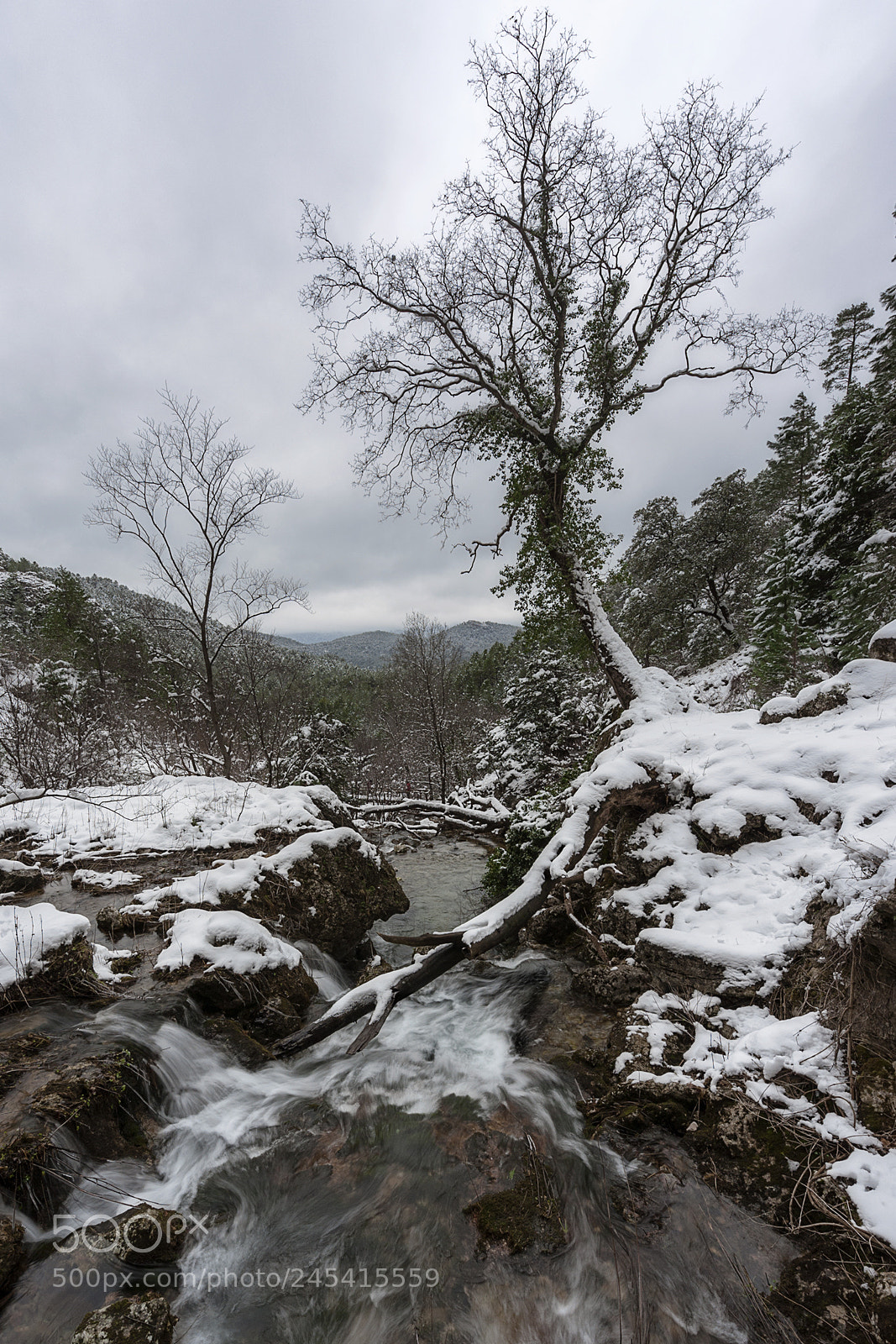 Nikon D700 sample photo. En busca del agua photography