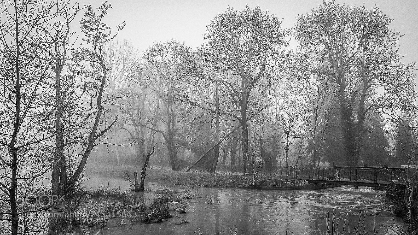 Samsung Galaxy S7 Edge sample photo. Flood and fog in photography