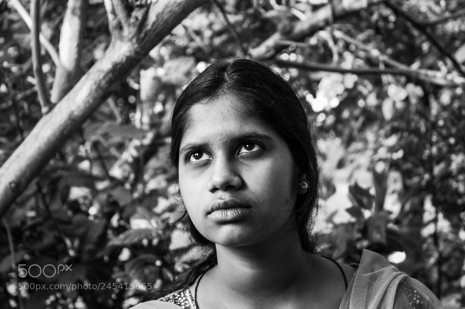 Canon EOS 1300D (EOS Rebel T6 / EOS Kiss X80) sample photo. Portrait of a young photography