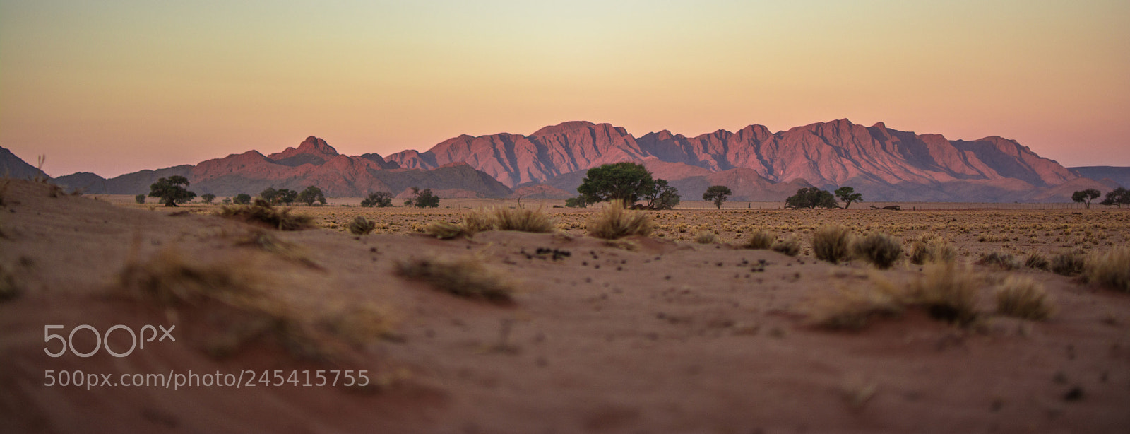 Nikon D7100 sample photo. Sossusvlei, namibia photography
