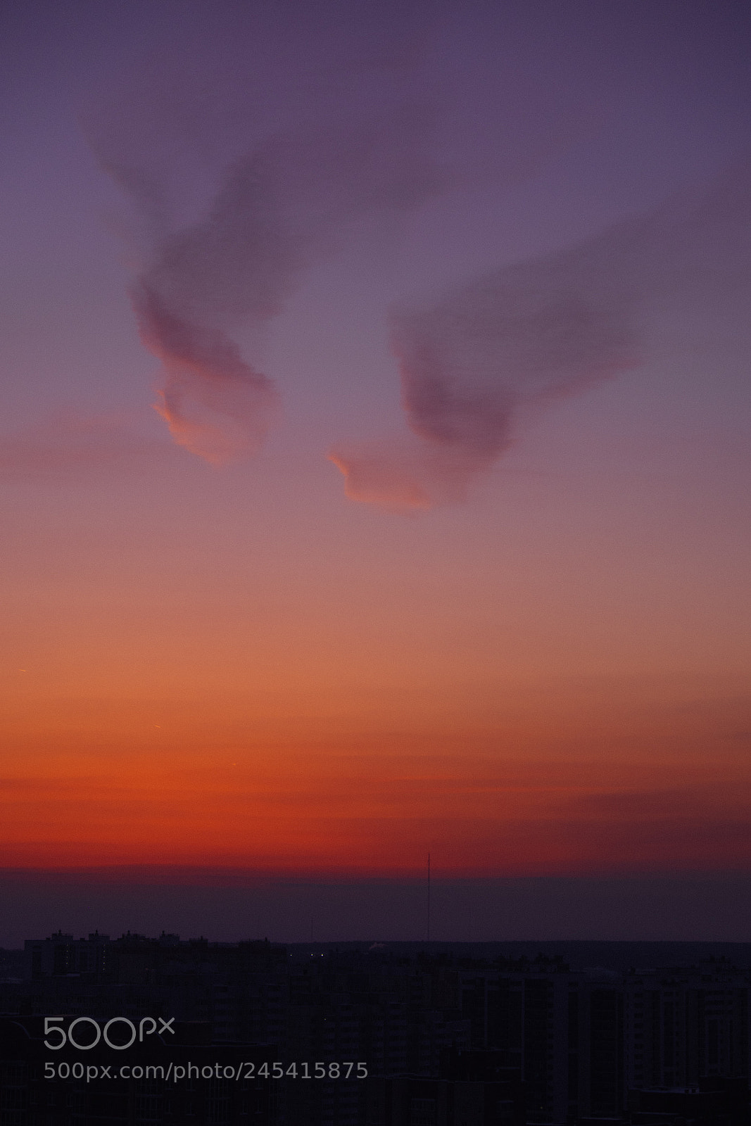 Fujifilm X-T1 sample photo. Wings photography