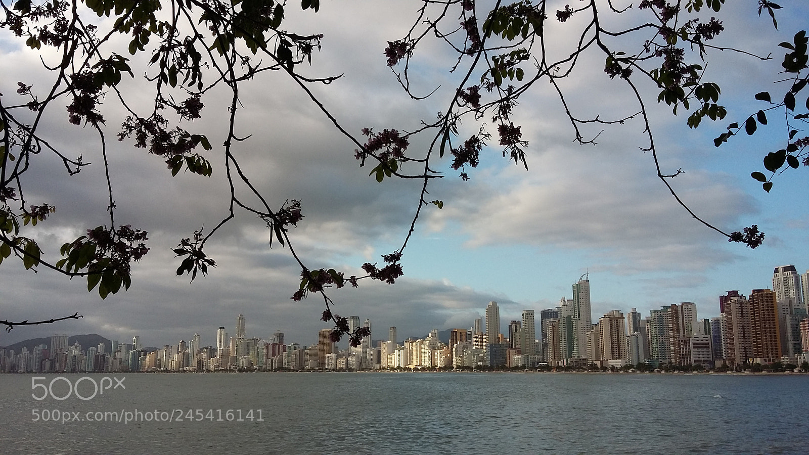 Samsung Galaxy A3 sample photo. A natureza e a photography
