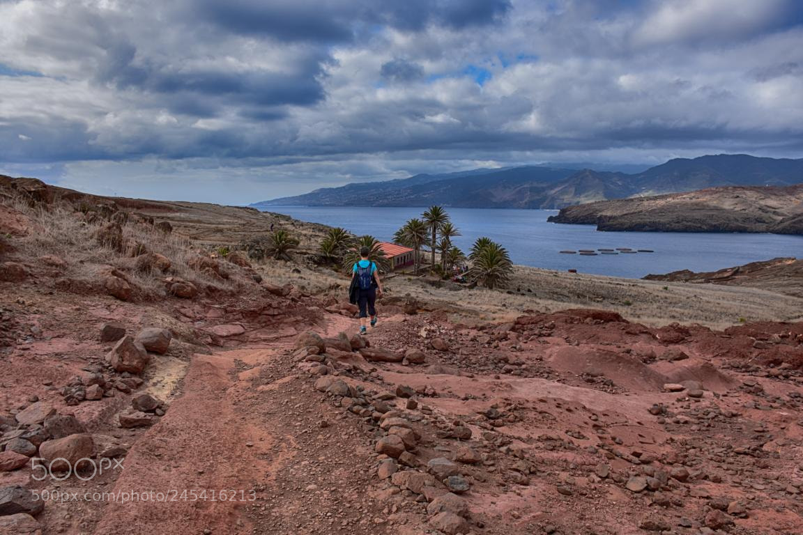 Nikon D7200 sample photo. Madeira - 017   hiking photography