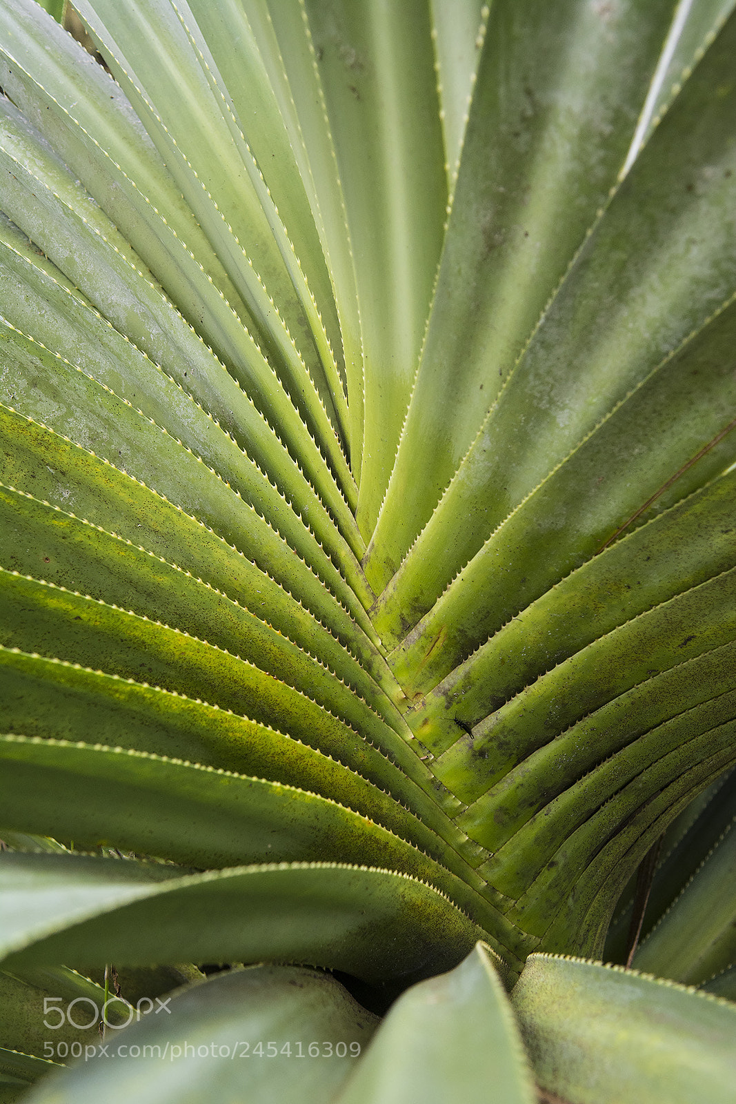 Nikon D7100 sample photo. Haleakala nat park photography