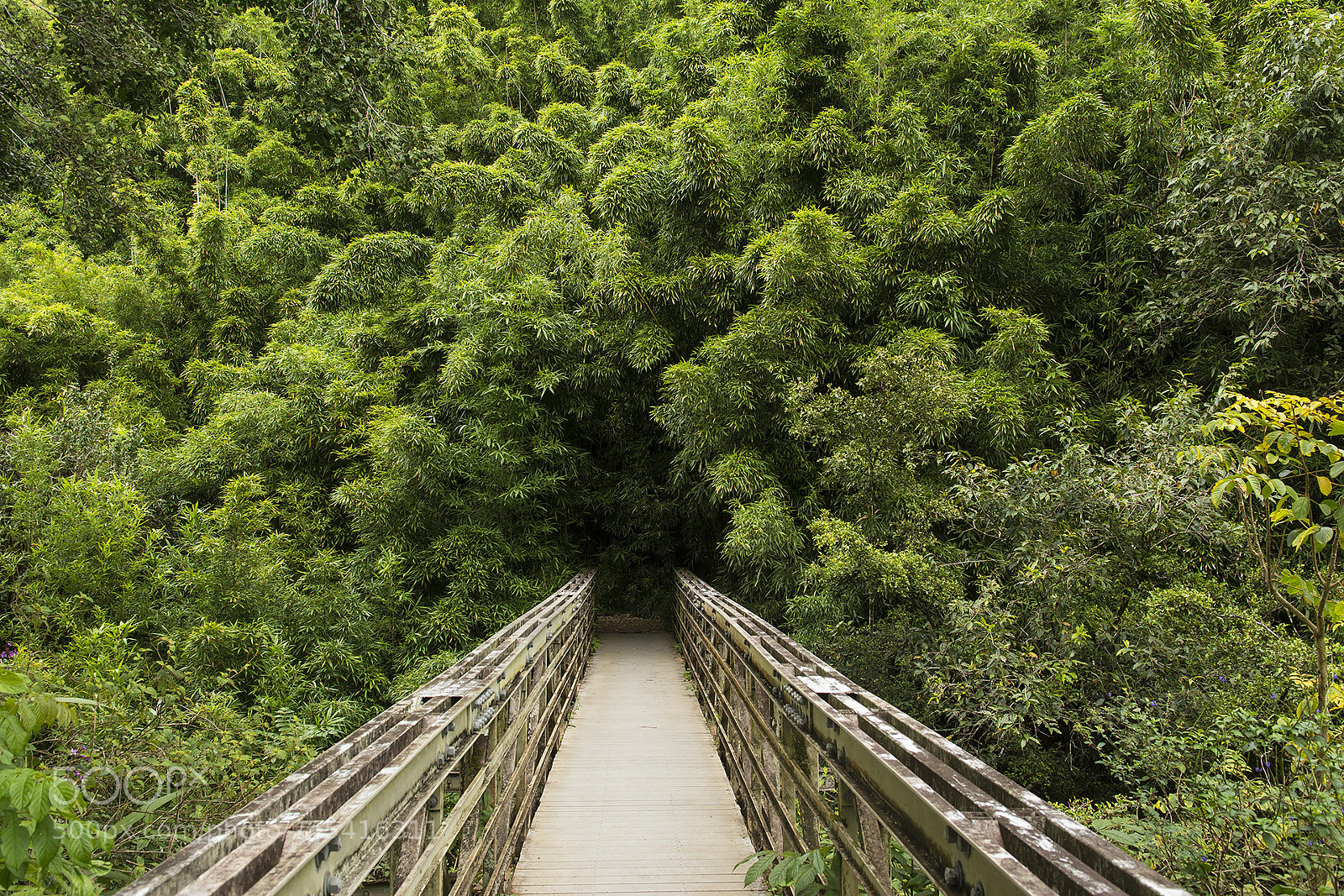 Nikon D7100 sample photo. Haleakala nat park photography