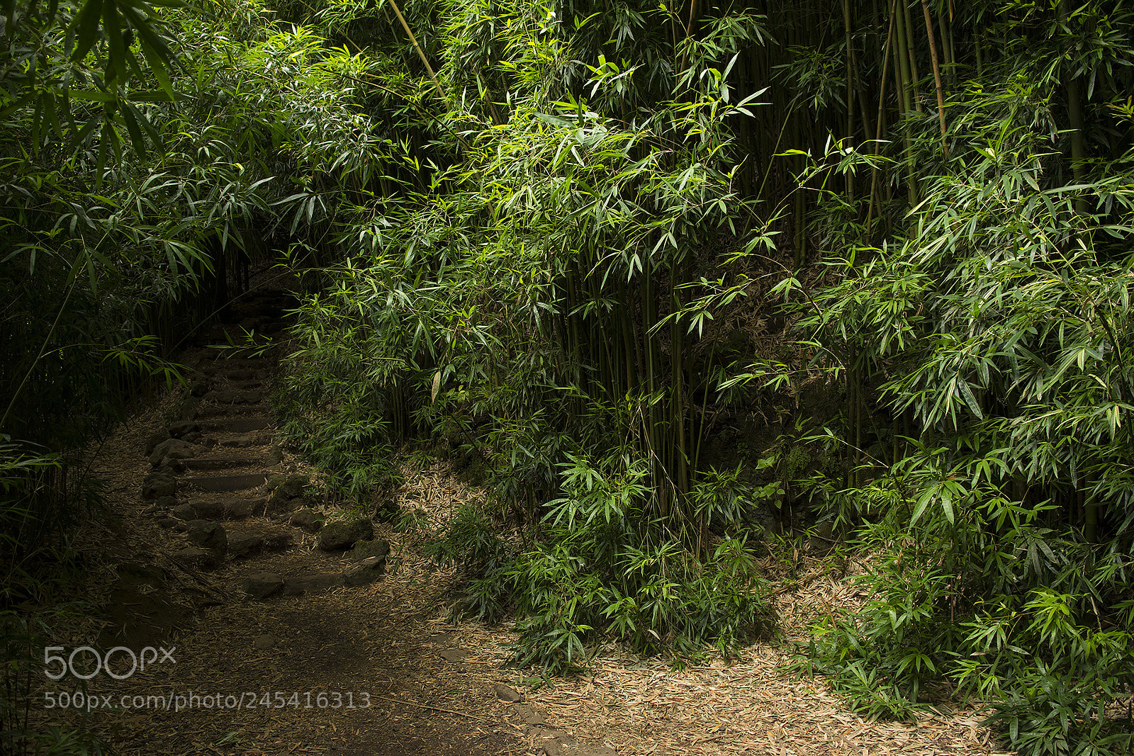 Nikon D7100 sample photo. Haleakala nat park photography