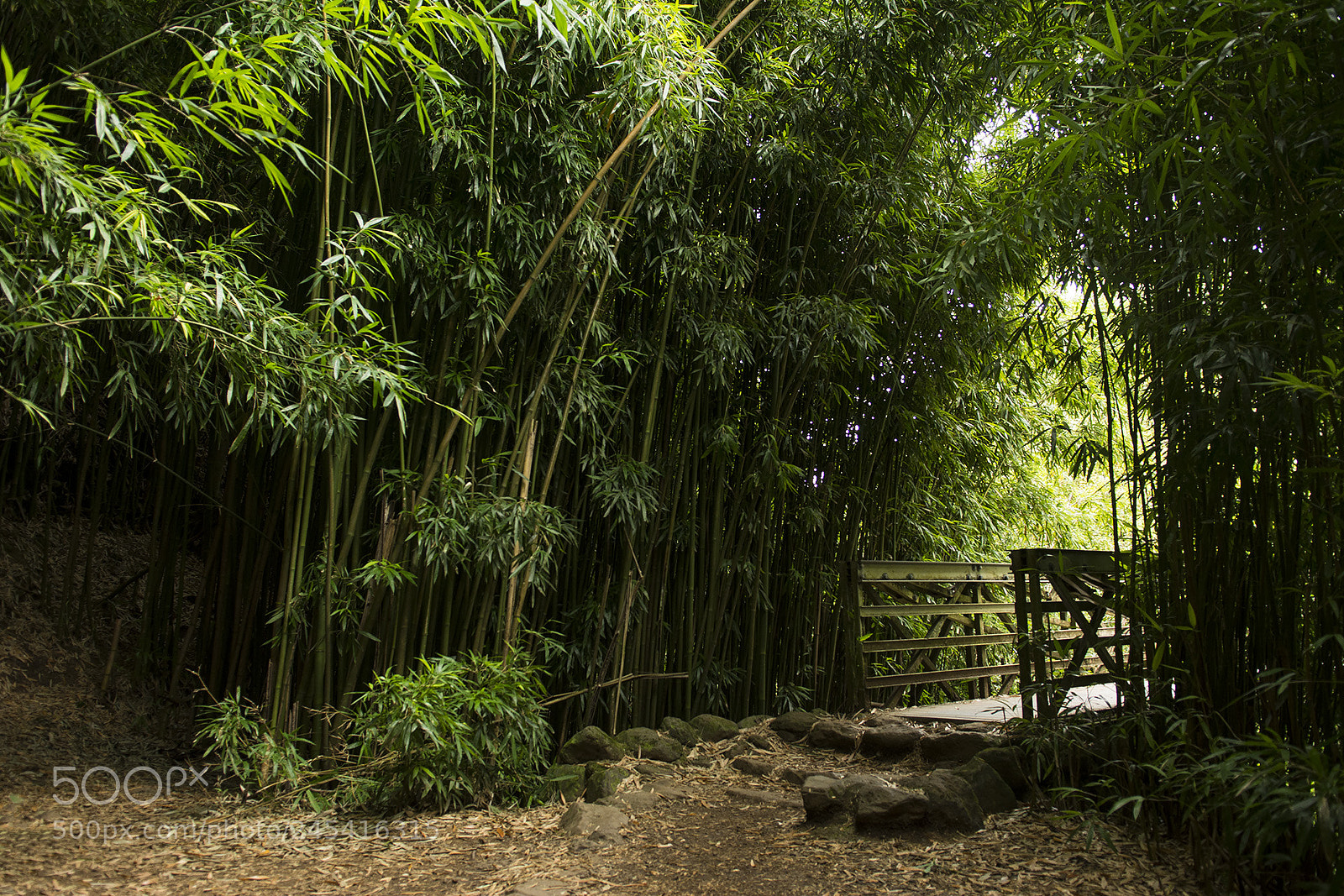 Nikon D7100 sample photo. Haleakala nat park photography