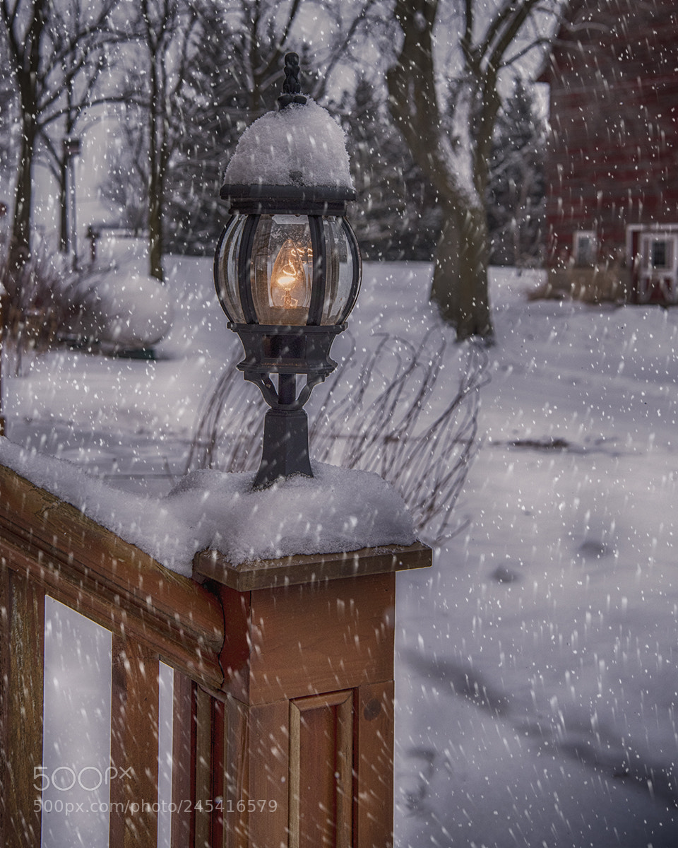 Nikon D810 sample photo. Porch light photography