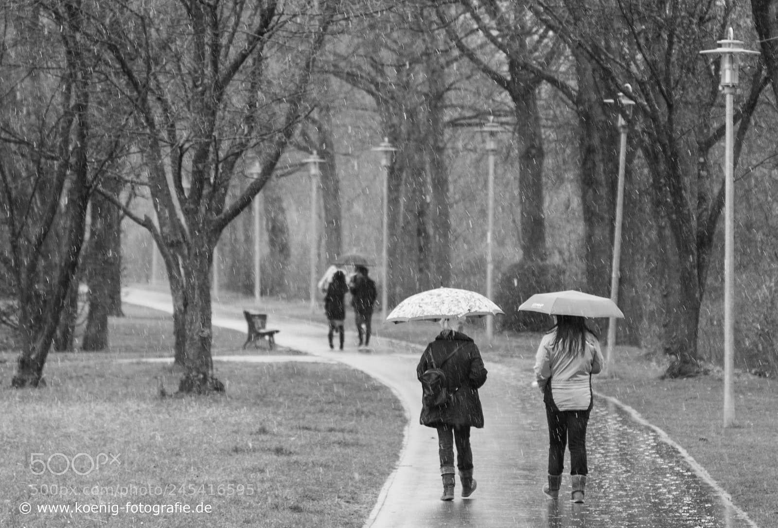 Fujifilm X-Pro2 sample photo. Hundewetter photography
