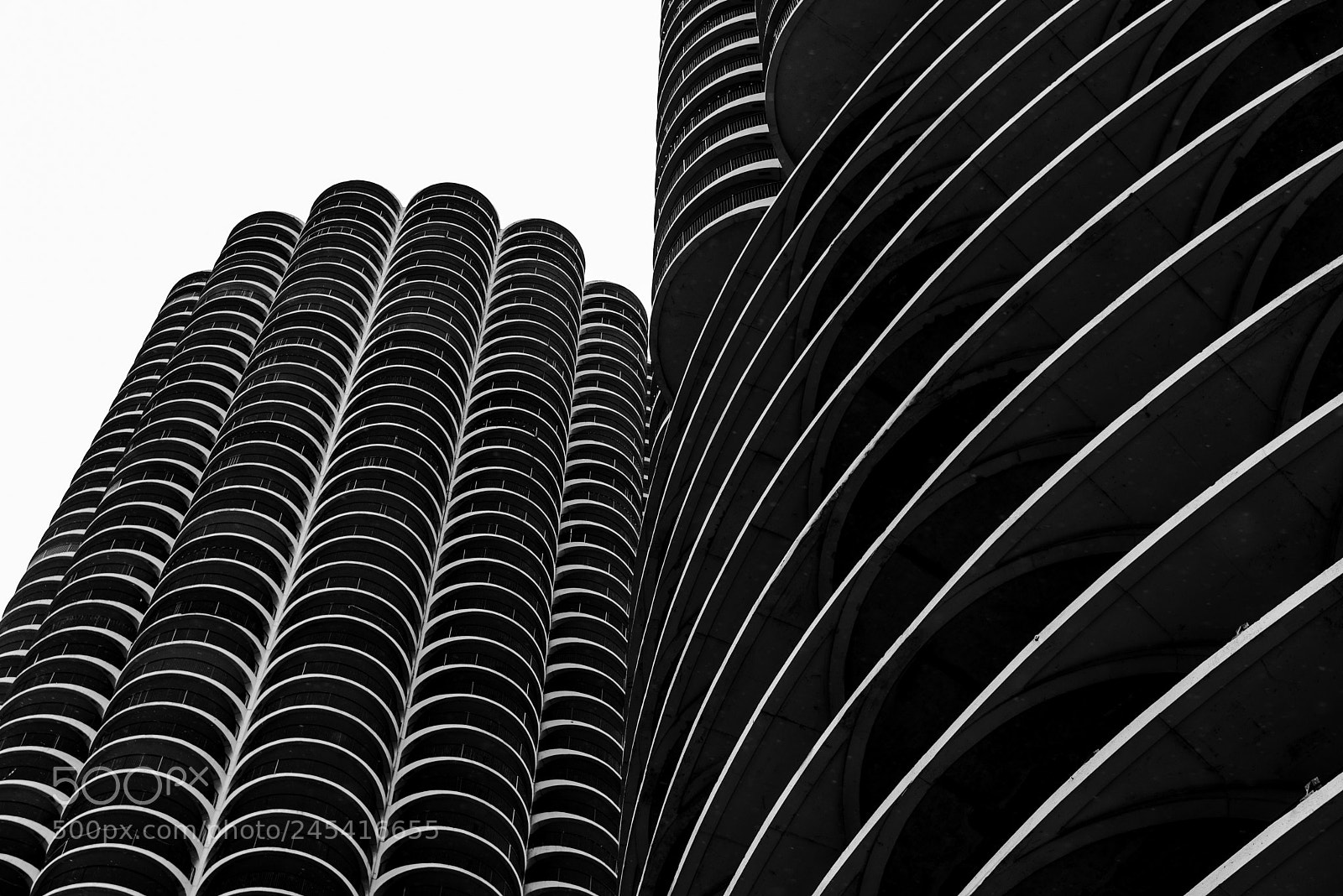 Nikon D610 sample photo. Marina city photography