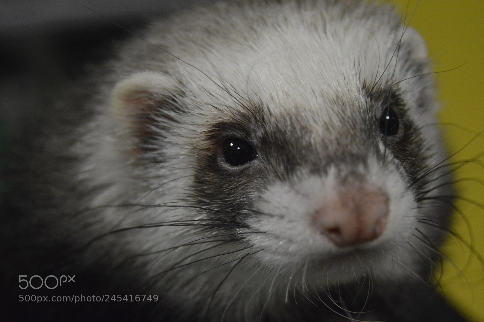 Nikon D3200 sample photo. Untitled photography