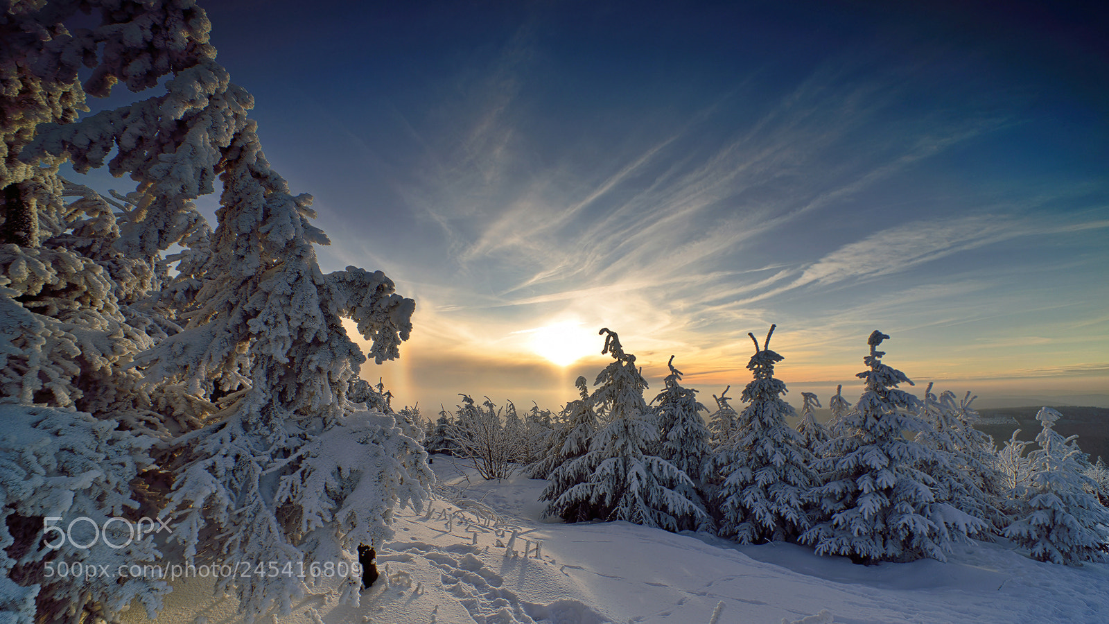 Nikon D800E sample photo. The last sunlight photography