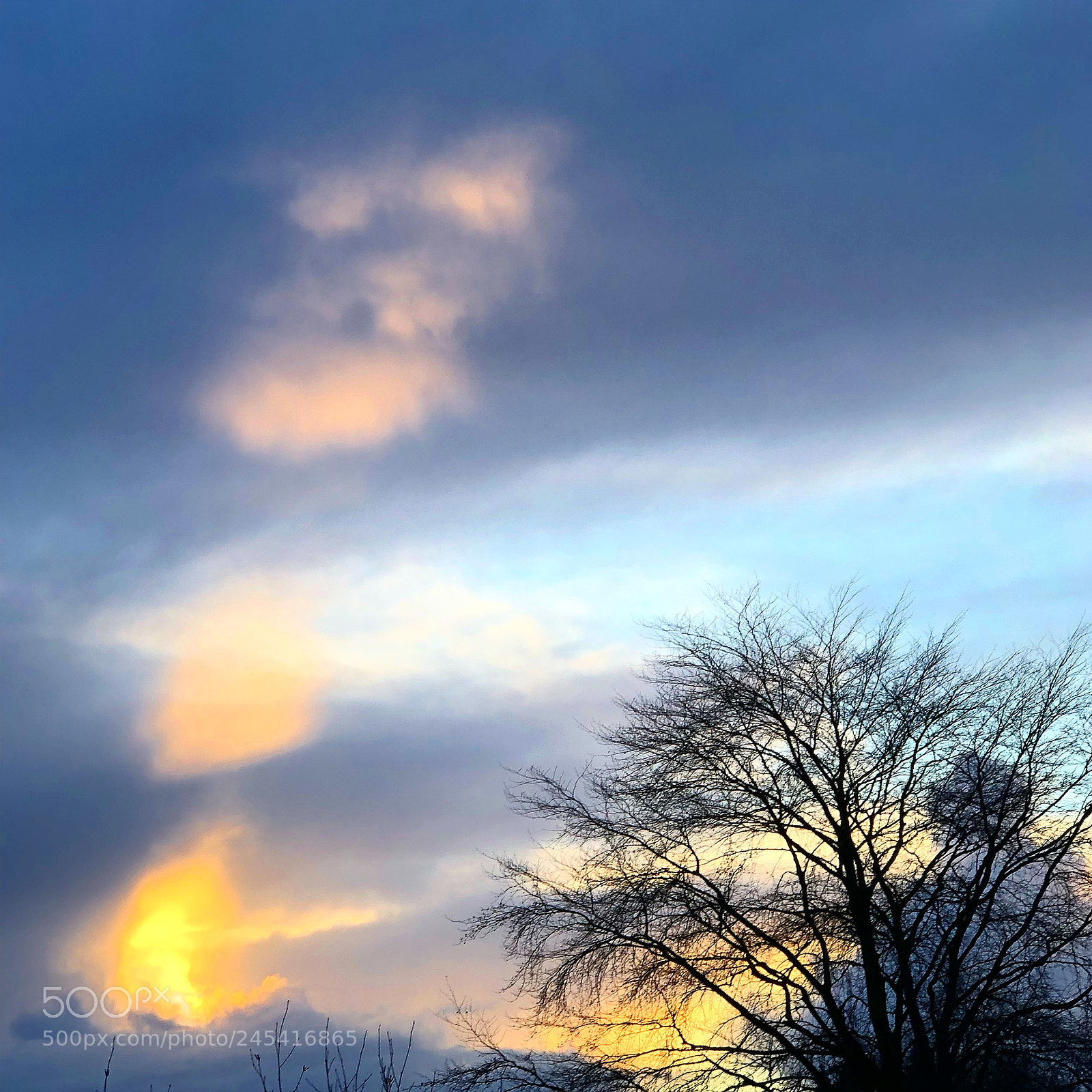 Apple iPhone 8 Plus sample photo. Beautiful evening with sunset photography