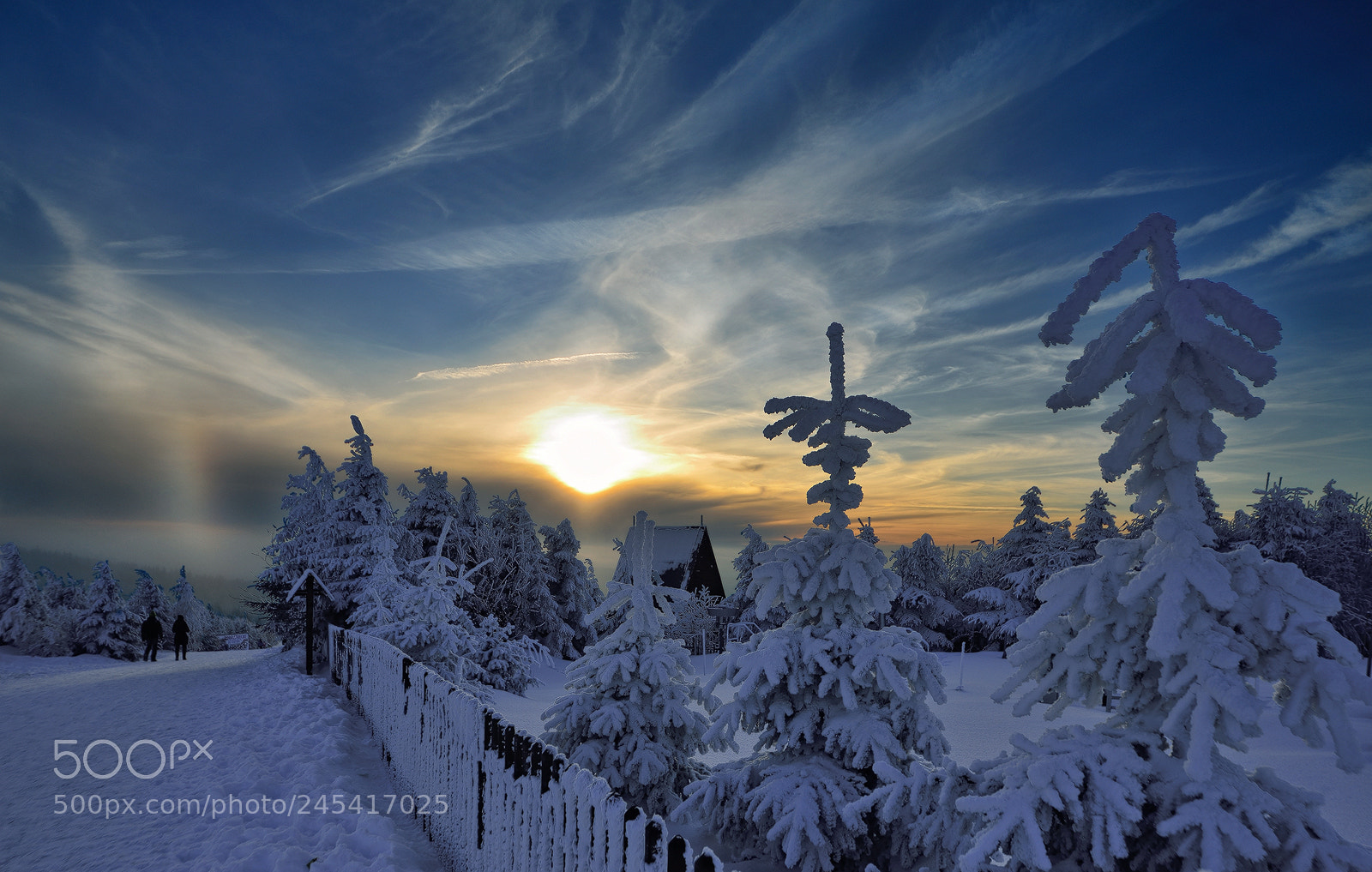 Nikon D800E sample photo. Cold winter photography