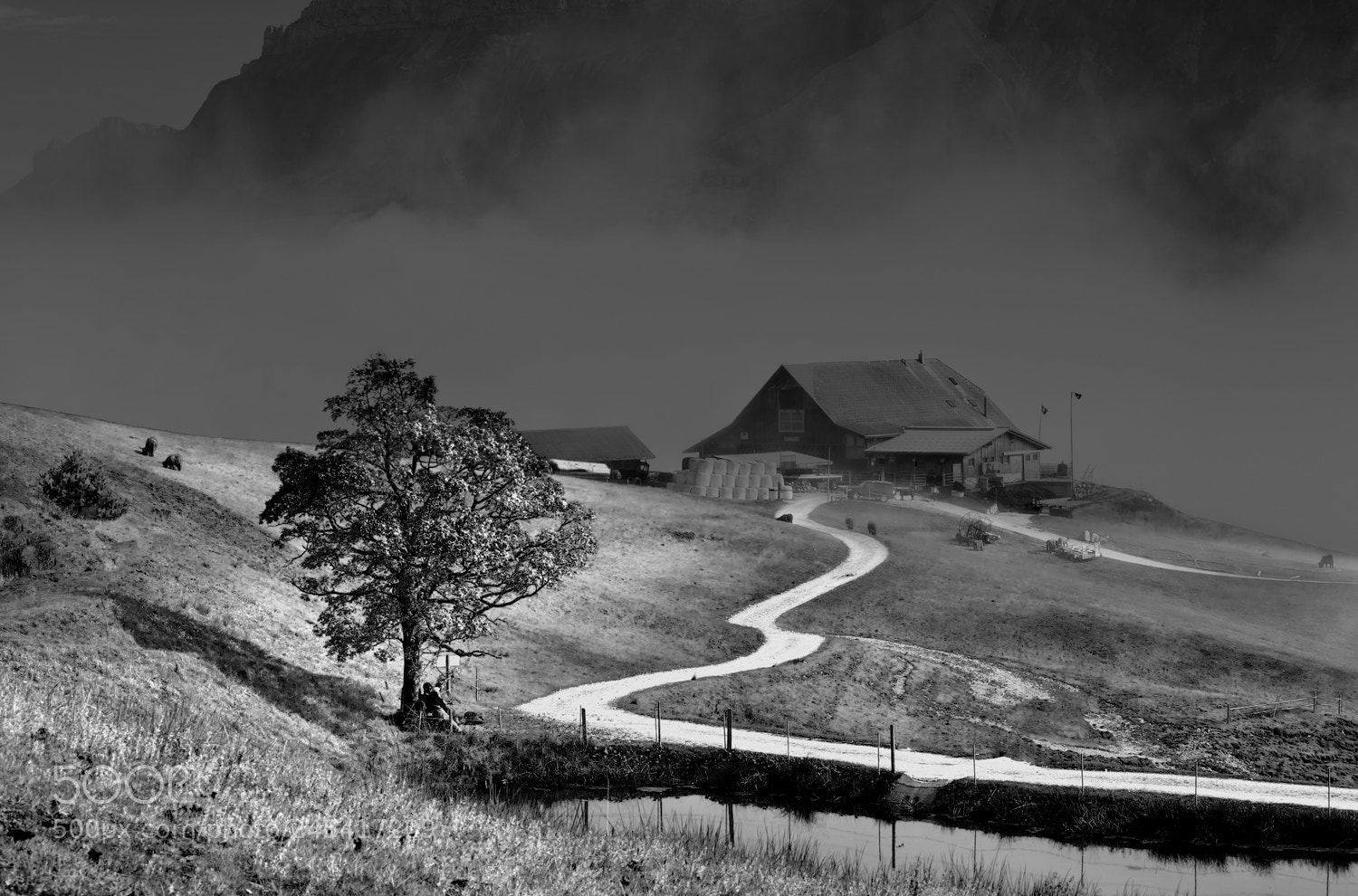 Canon EOS 5D sample photo. B&w photography