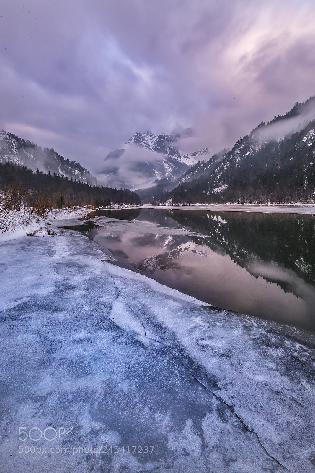 Canon EOS-1D X sample photo. Foggy morning- national park photography