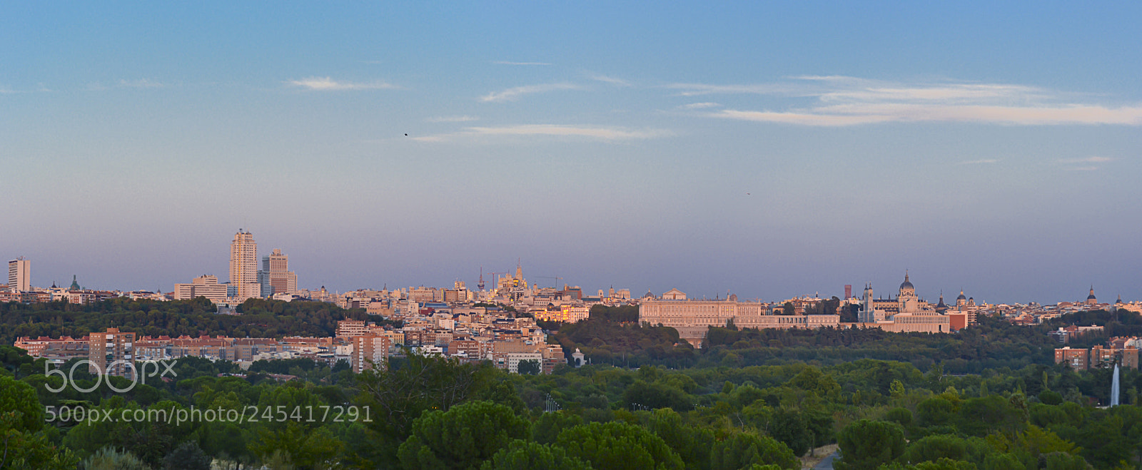 Nikon D3100 sample photo. Untitled photography