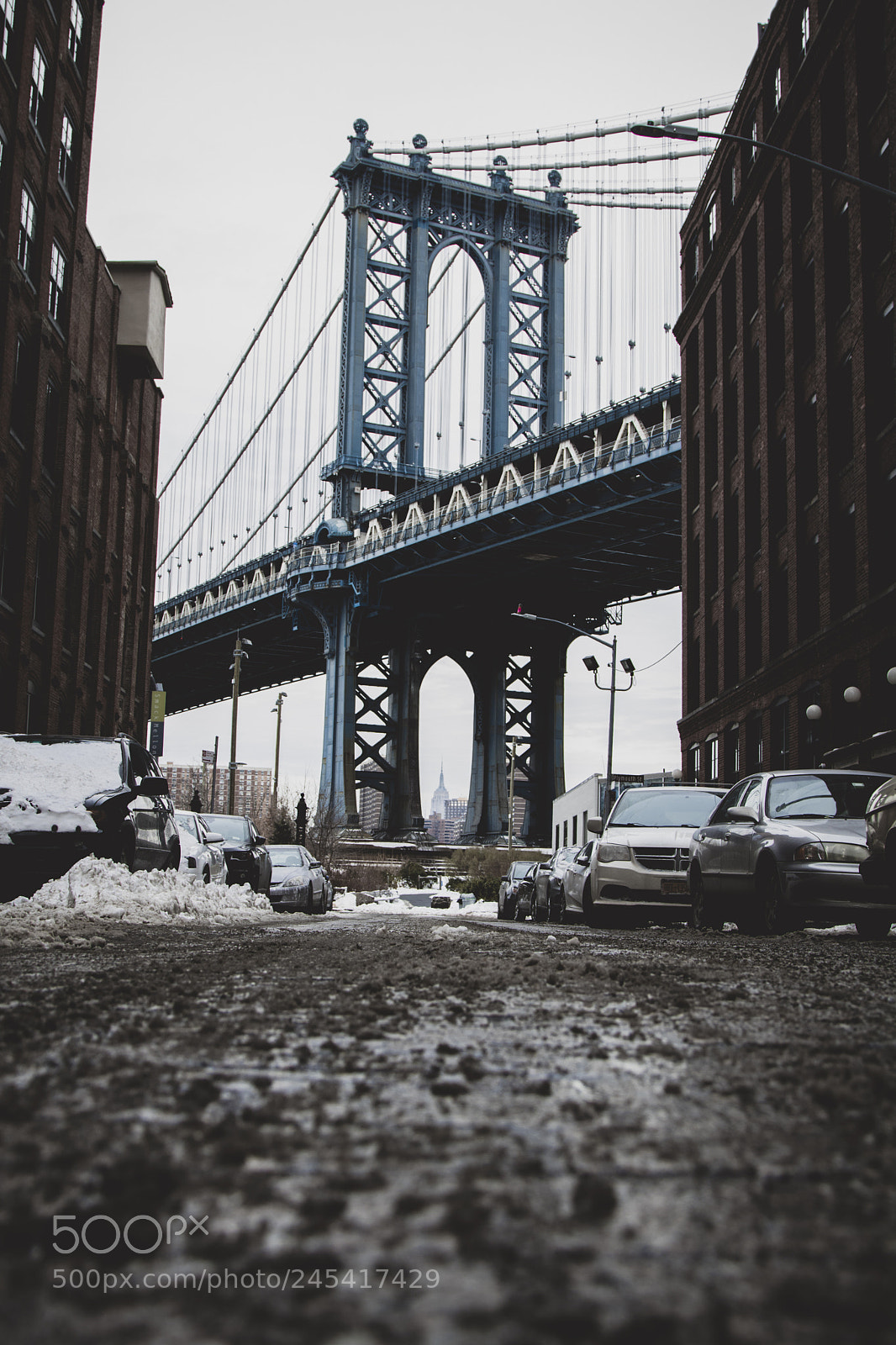 Canon EOS 760D (EOS Rebel T6s / EOS 8000D) sample photo. Dumbo, had to wait photography