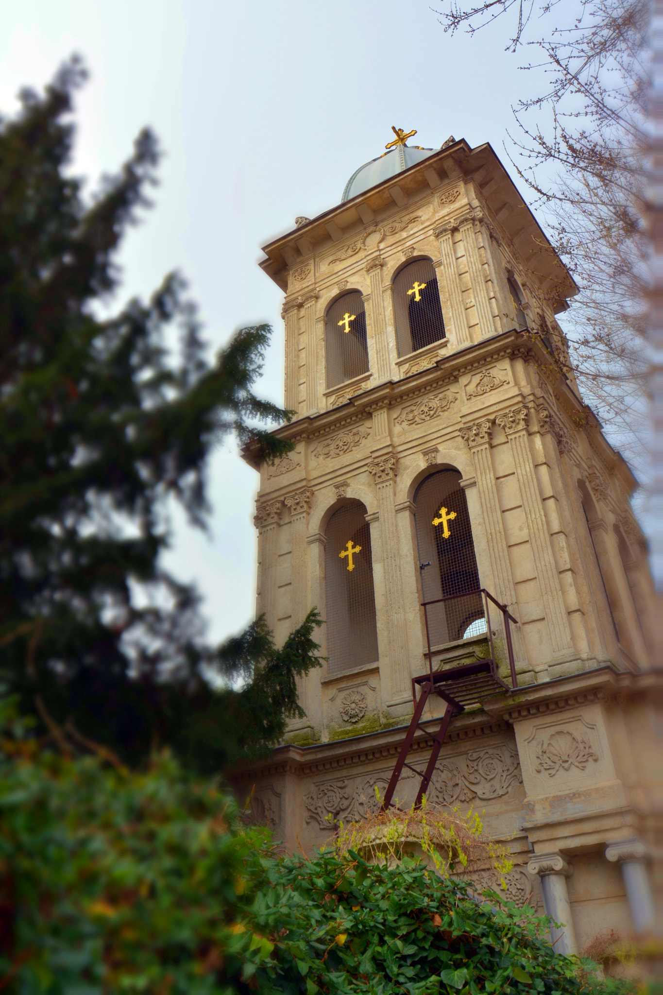 Nikon D5200 sample photo