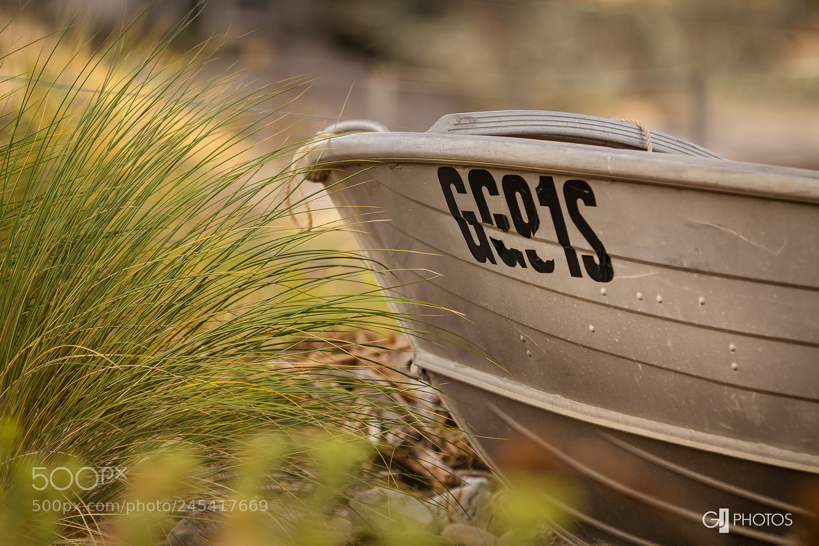 Canon EOS 60D sample photo. Gg81s photography