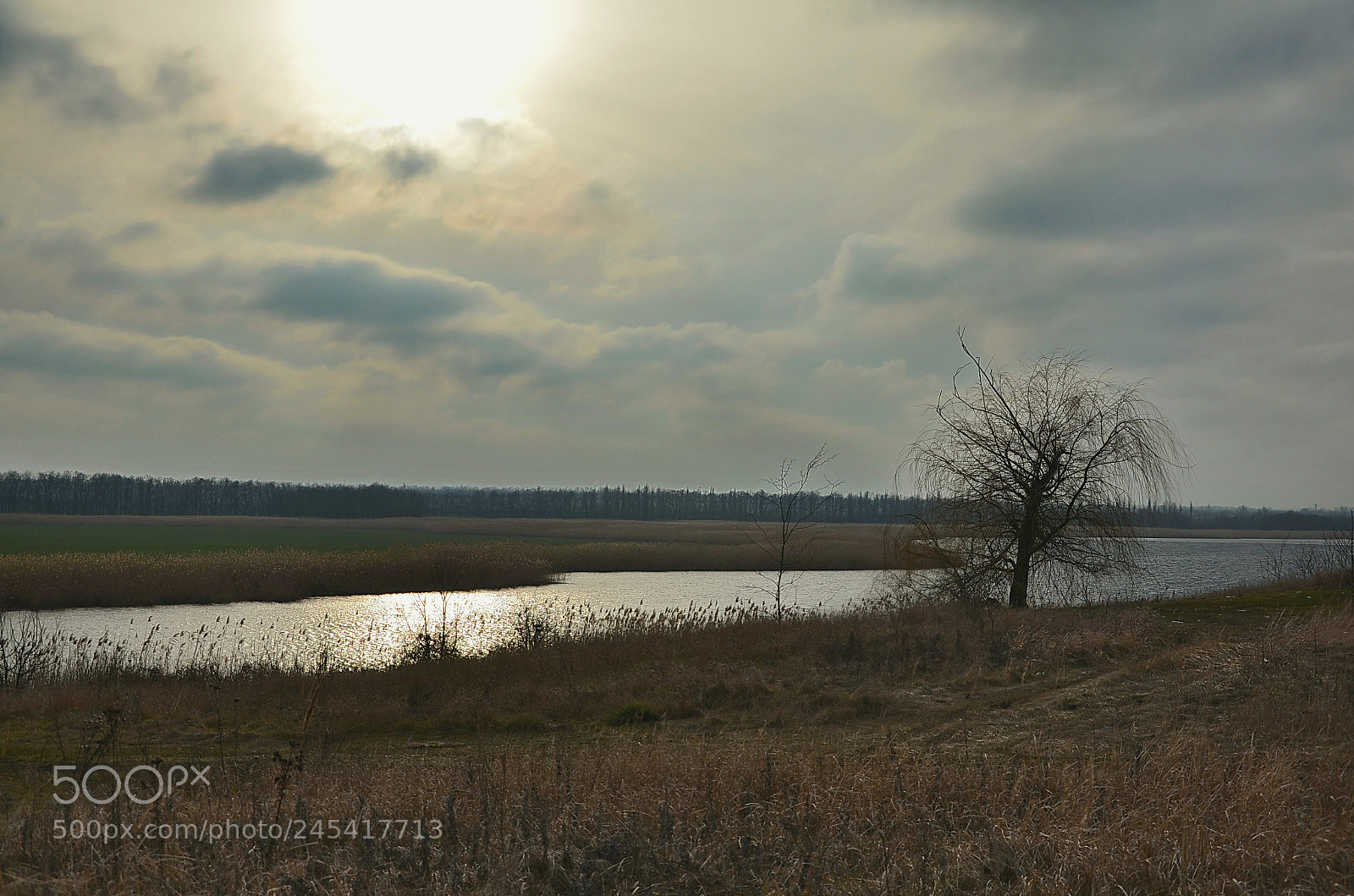 Nikon D5100 sample photo. Untitled photography